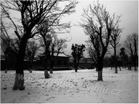 /album/fotogalerie-yu-xu-gong-snih-snow-2014/yu-xu-winter-012-jpg/